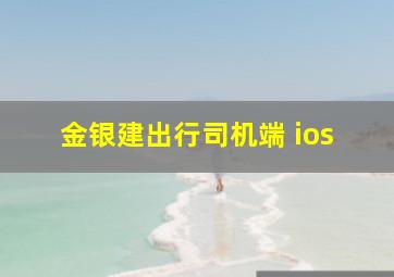 金银建出行司机端 ios